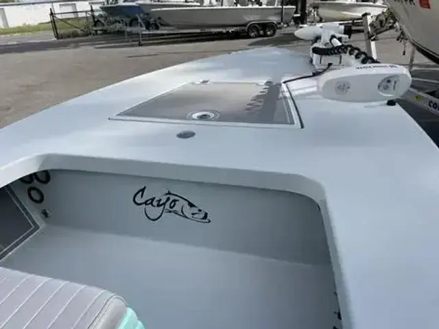 Cayo Boatworks 180 MV