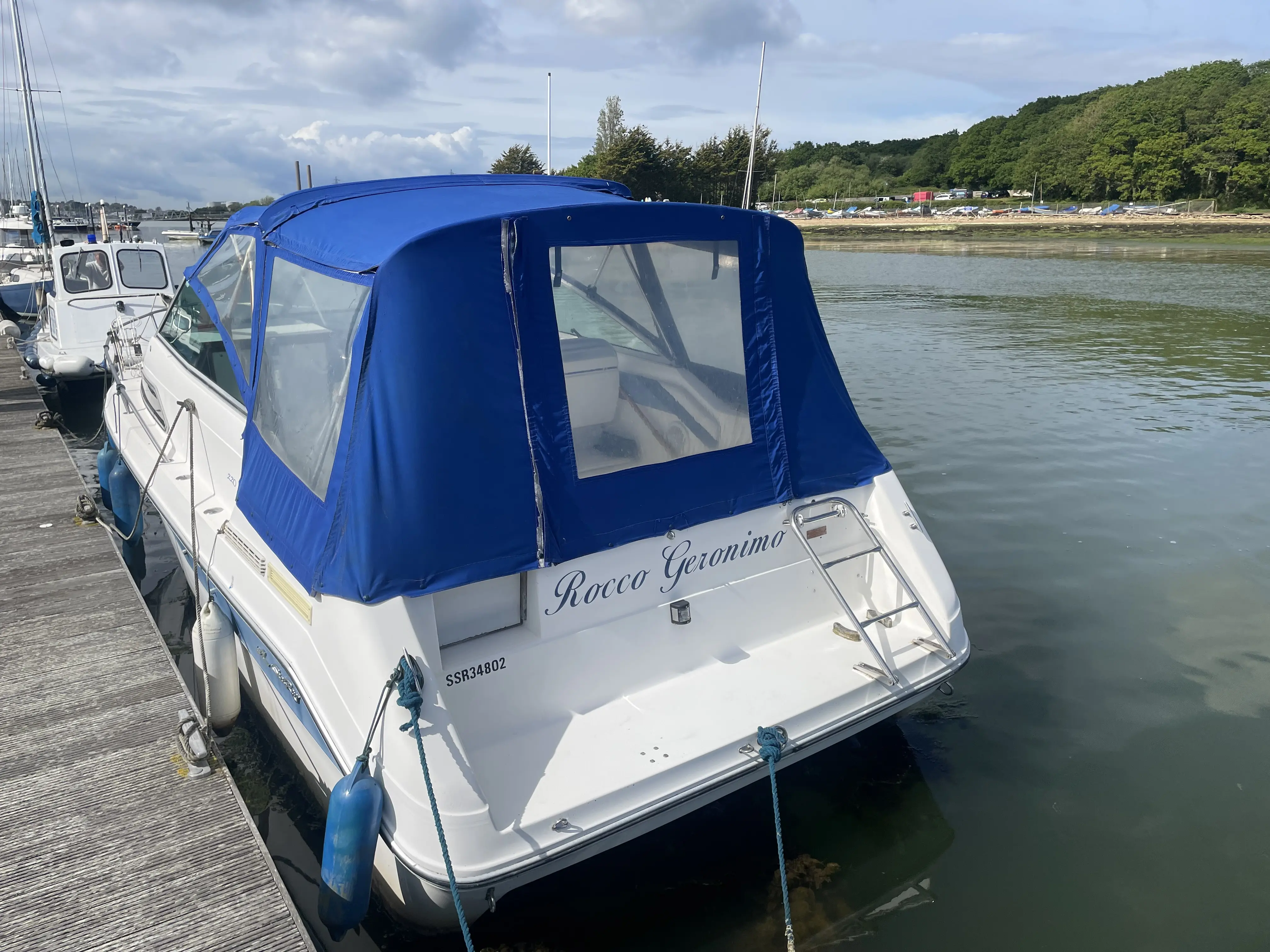 1989 Sea Ray 220 sundancer