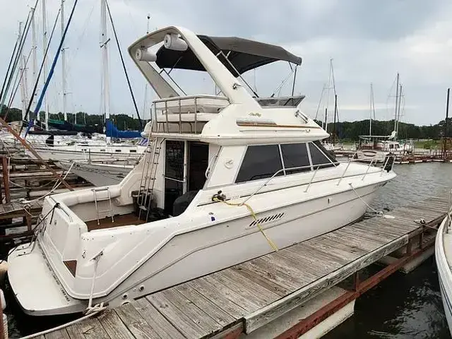 Sea Ray 370 Sedan Bridge