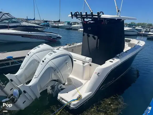 Robalo 272