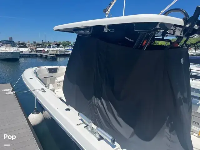 Robalo 272