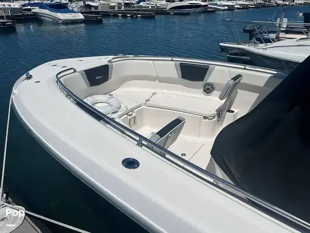 Robalo 272