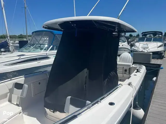 Robalo 272