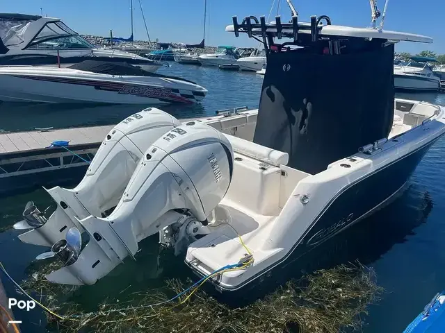 Robalo 272