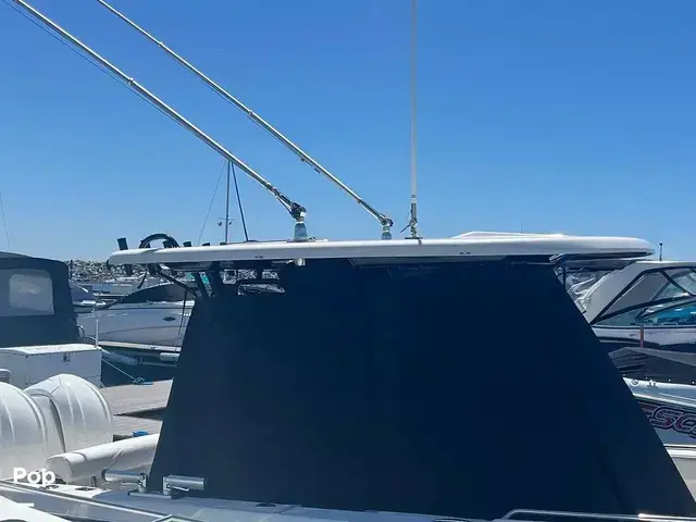 Robalo 272