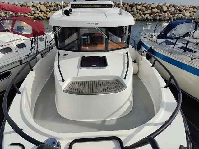 Sargo 31