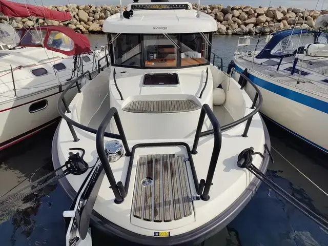 Sargo 31