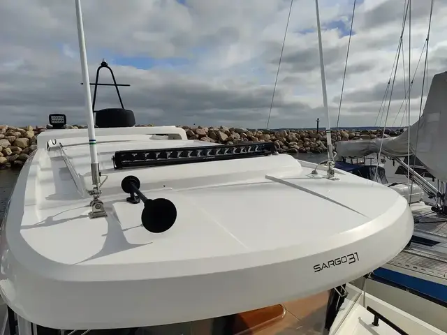 Sargo 31