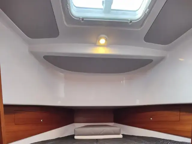 Sargo 31