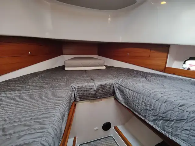 Sargo 31