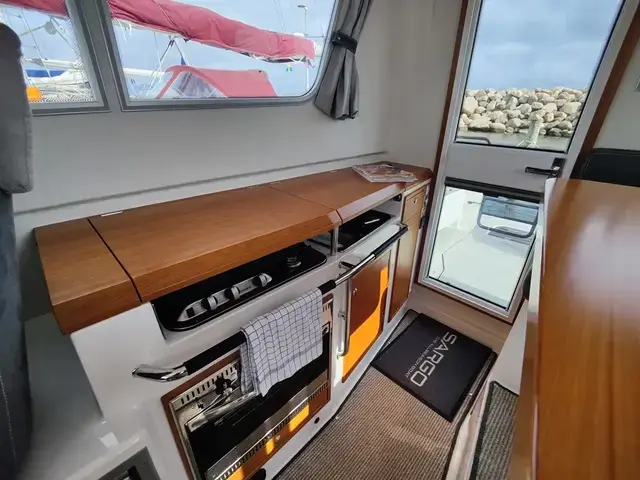 Sargo 31