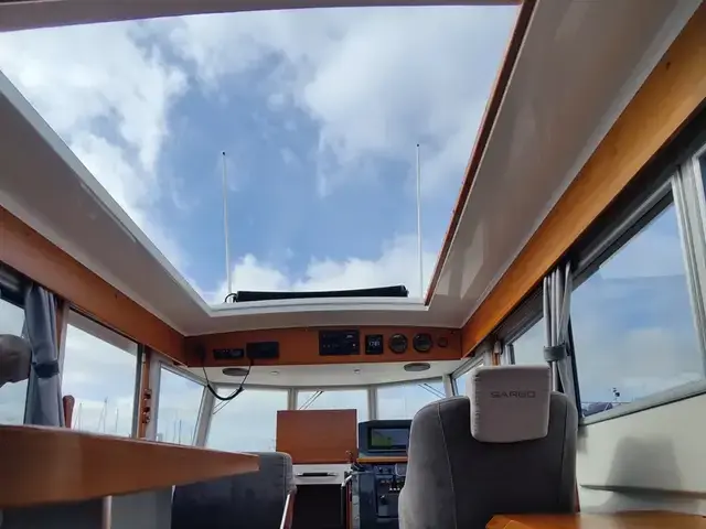 Sargo 31