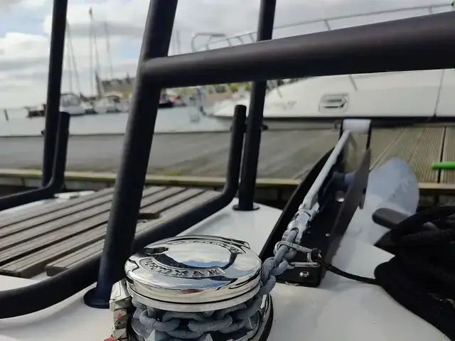 Sargo 31