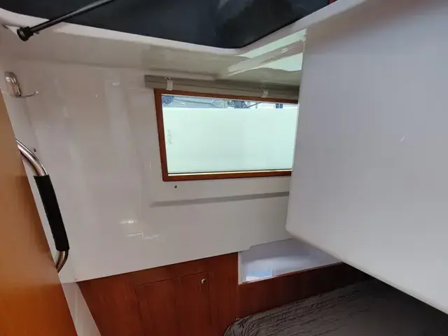 Sargo 31