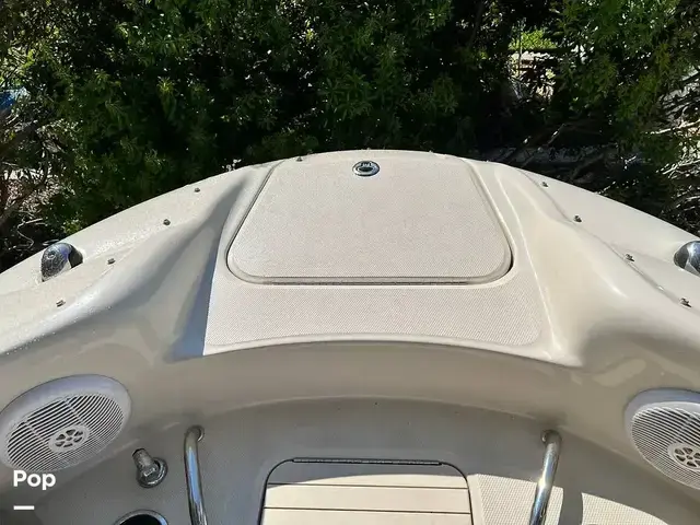 Sea Ray 240 Sundeck