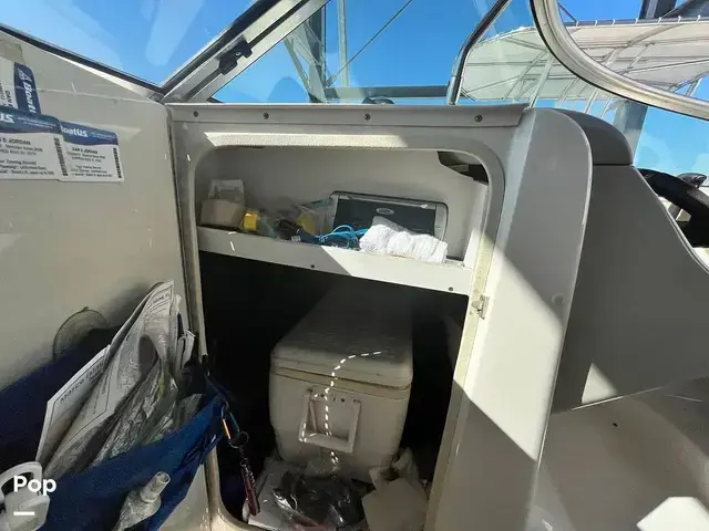 Sea Ray 240 Sundeck