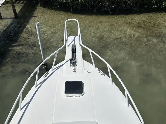 Salt Shaker 30'