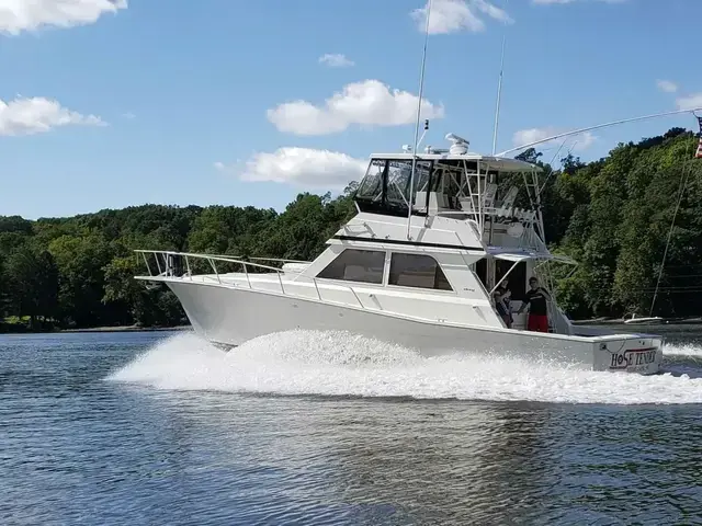 Viking Yachts 45 Convertible