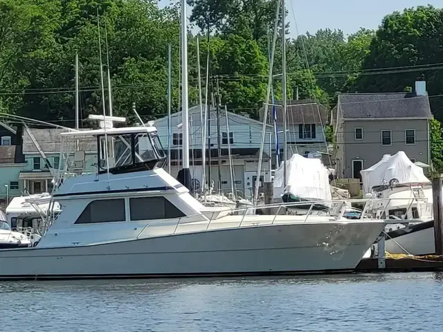 Viking Yachts 45 Convertible