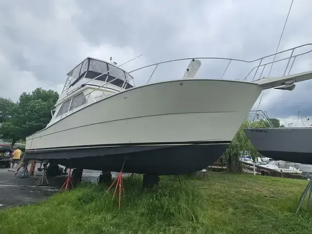 Viking Yachts 45 Convertible