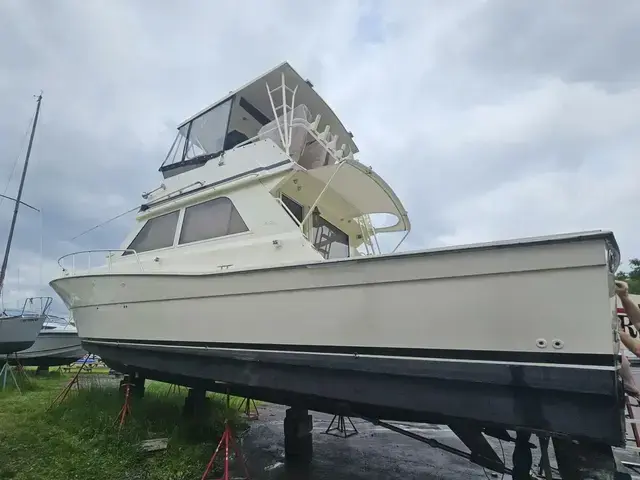 Viking Yachts 45 Convertible