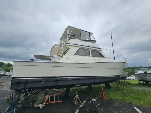 Viking Yachts 45 Convertible