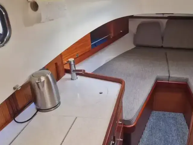 Paragon 31 Flybridge