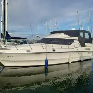 1988 Birchwood Boats TS37