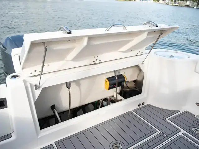 Robalo 30'