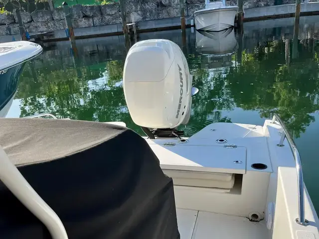 Boston Whaler 240 Dauntless