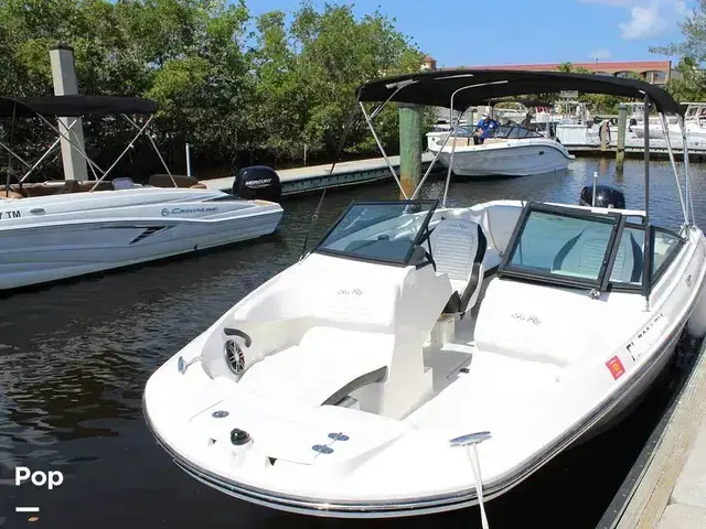 Sea Ray 210 SPX