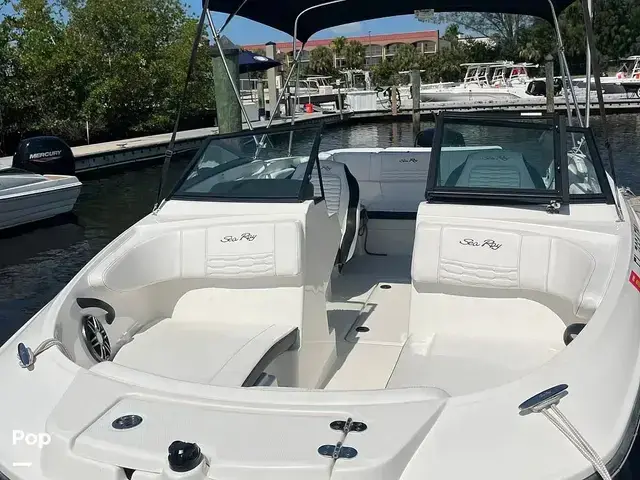 Sea Ray 210 SPX