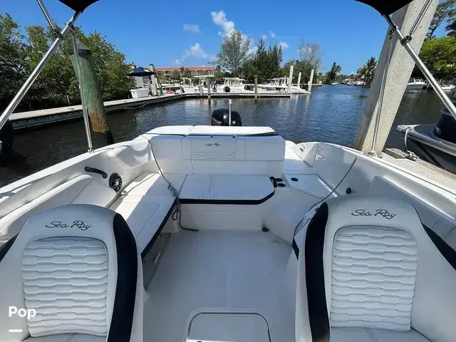 Sea Ray 210 SPX