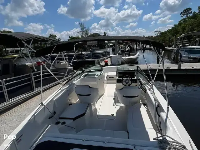 Sea Ray 210 SPX