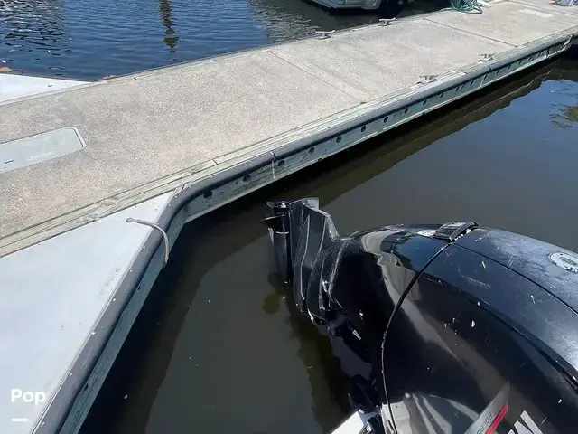 Bayliner Vr6