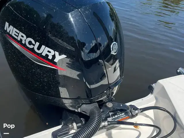 Sea Ray 210 SPX