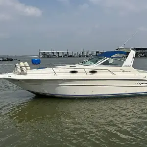 1995 Sea Ray 300 Sundancer