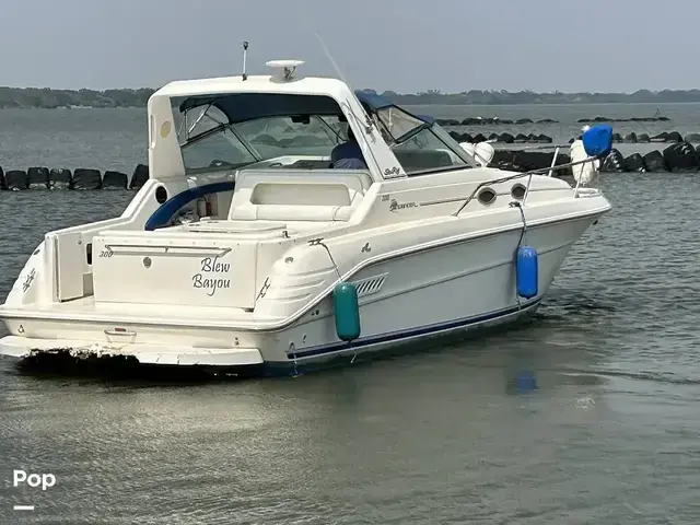 Sea Ray 300 Sundancer