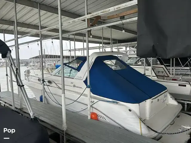 Sea Ray 300 Sundancer