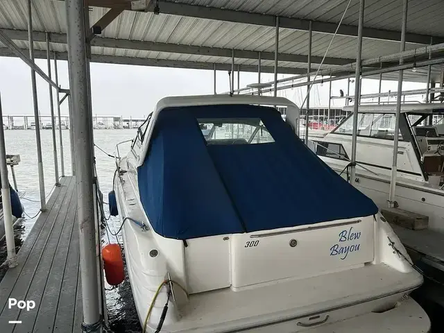 Sea Ray 300 Sundancer