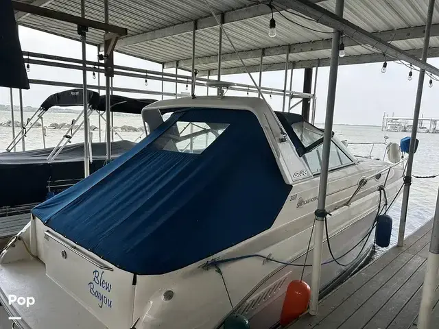 Sea Ray 300 Sundancer