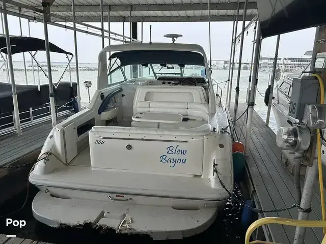 Sea Ray 300 Sundancer