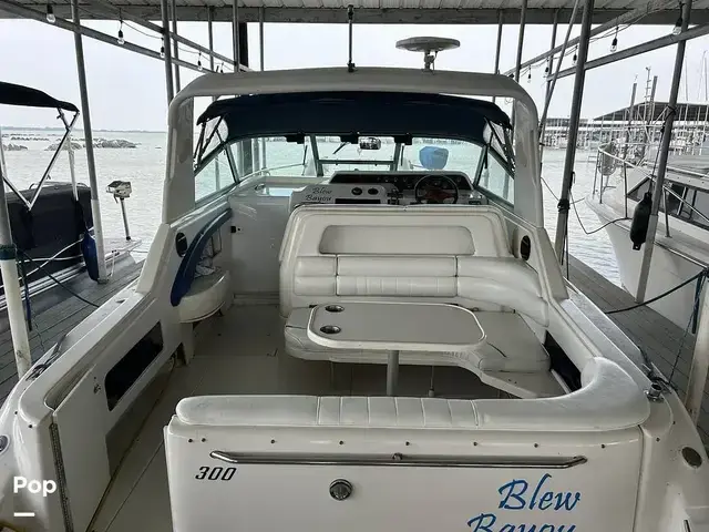 Sea Ray 300 Sundancer