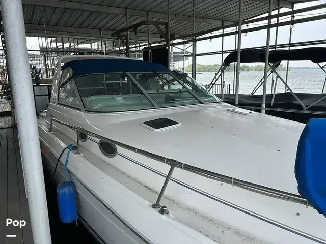 Sea Ray 300 Sundancer