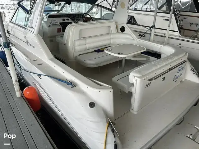 Sea Ray 300 Sundancer