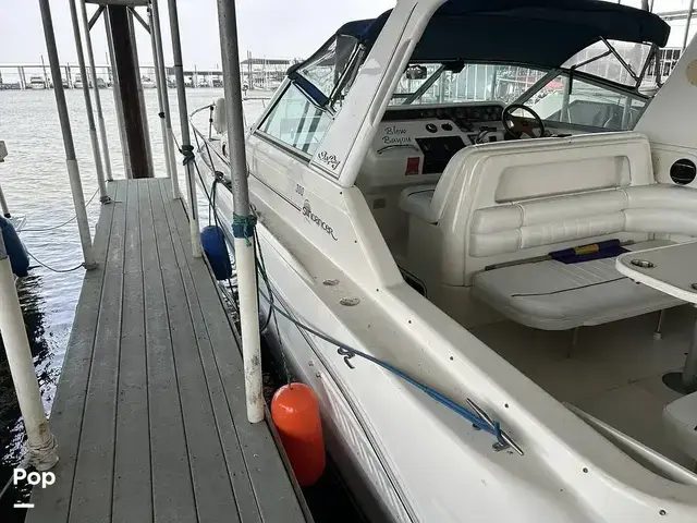 Sea Ray 300 Sundancer