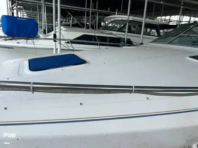 Sea Ray 300 Sundancer