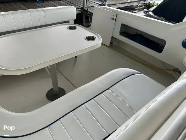 Sea Ray 300 Sundancer