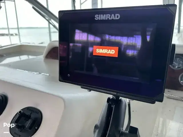 Sea Ray 300 Sundancer