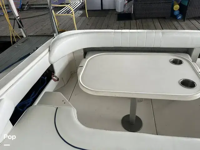 Sea Ray 300 Sundancer